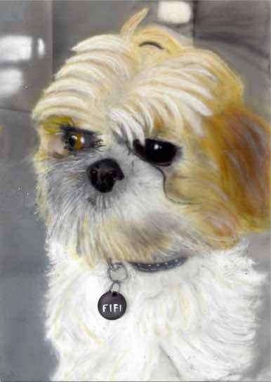 An early work on Card of our own Dog FiFi